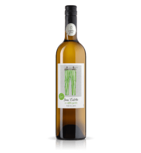 Sans Culotte vin blanc sans sulfites ajoutés BIO