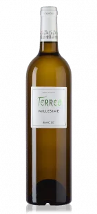 Terreo vin Blanc sec