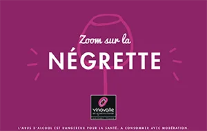 Zoom sur le cépage la negrette