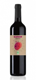 vin Gamay nouveau bio