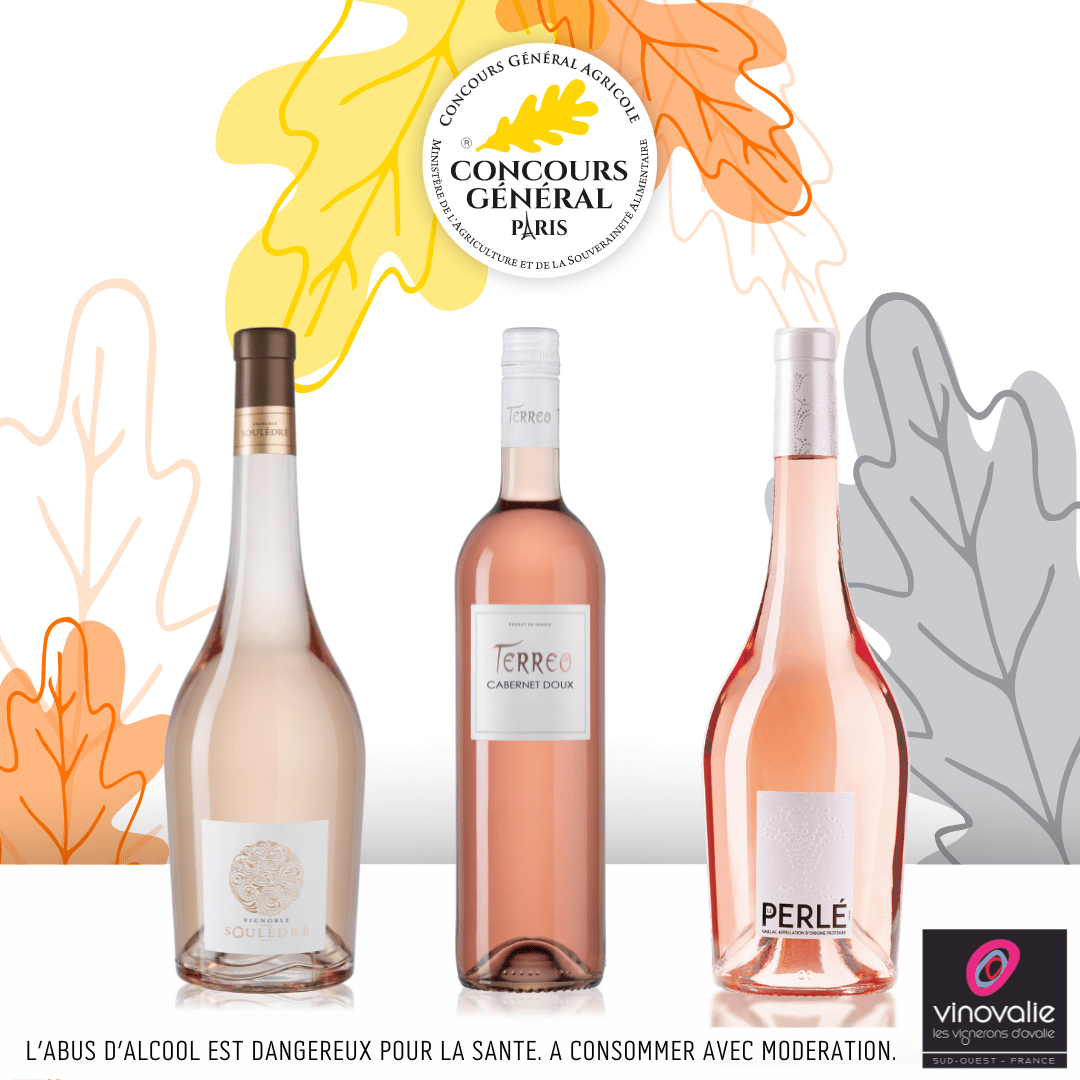 3 des vins rosés de Vinovalie médaillés au Concours Général Agricole 2024
