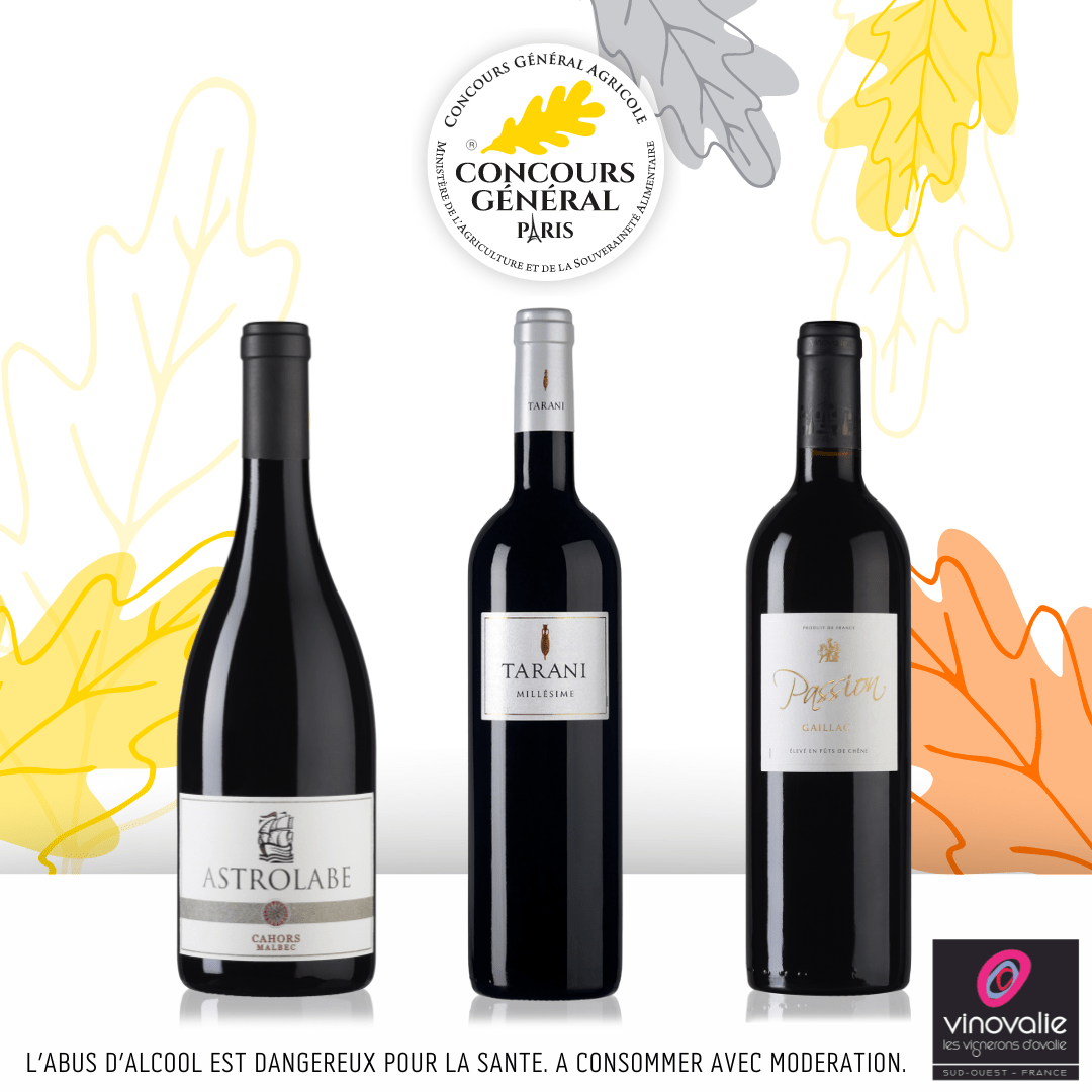 3 des vins rouges de Vinovalie médaillés au Concours Général Agricole 2024
