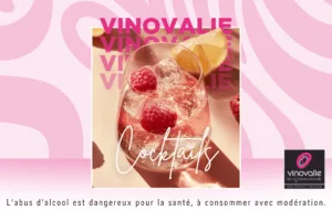 Cocktails Vinovalie