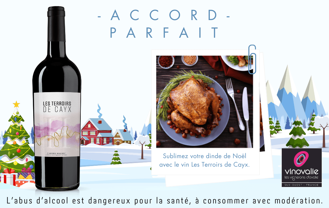 Sublimez votre dinde de Noël avec le vin les Terrois de Cayx.