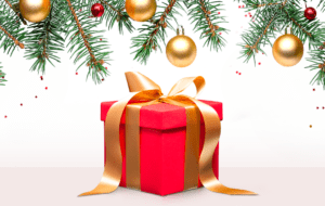 Bandeau Concours de Noël 2024