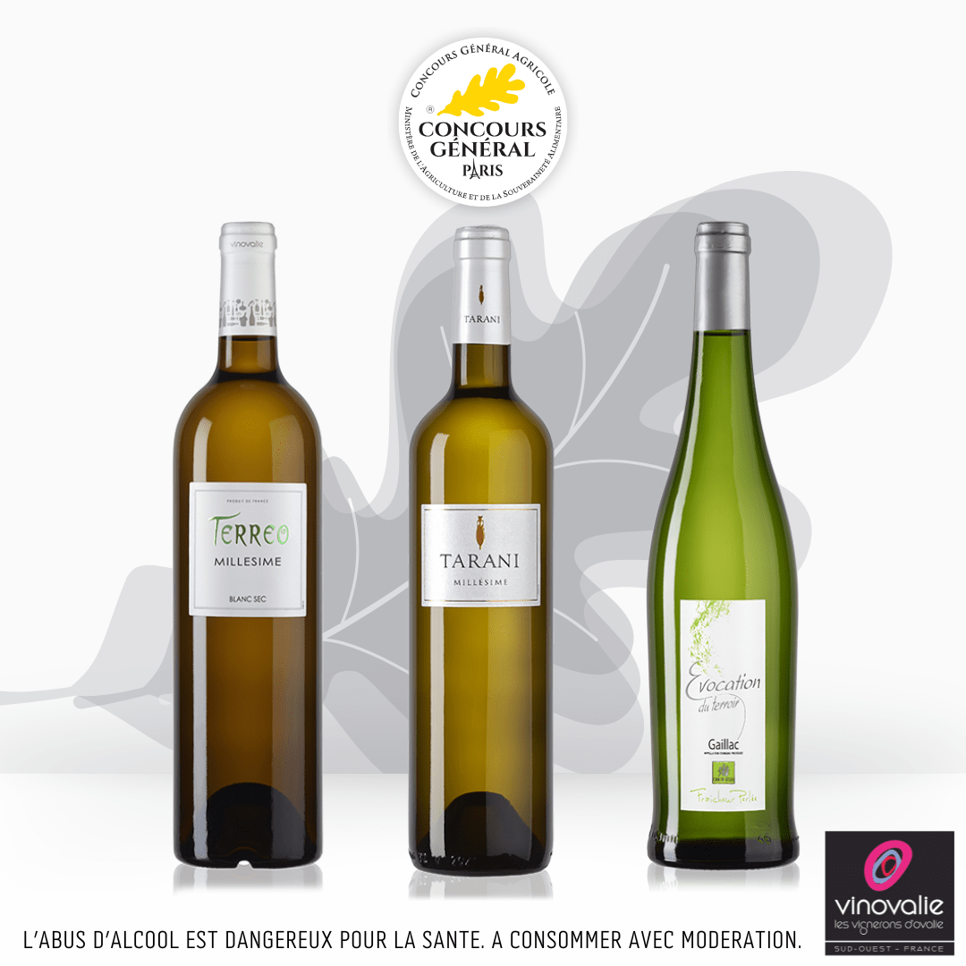 Vins blancs de Vinovalie médaillés au Concours Général Agricole 2025