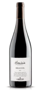 Hominia Braucol - AOP Gaillac
