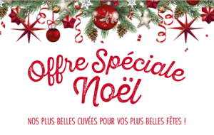 Offre Spéciale Noël 2025