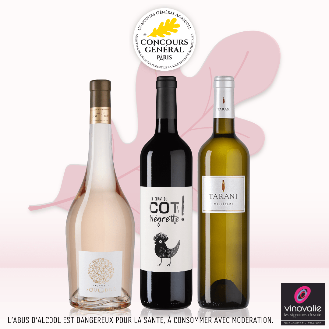 Concours Général Agricole 2026 - les vins de Vinovalies médaillés d'argent