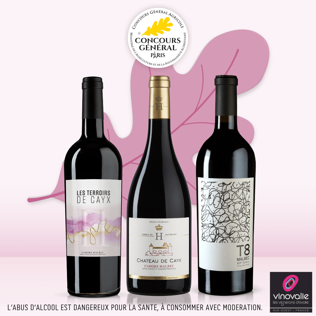 Concours Général Agricole 2026 - les vins de Vinovalies médaillés d'or